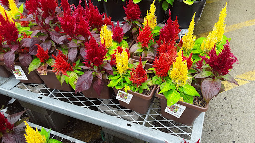 Home Improvement Store «The Home Depot», reviews and photos, 205 Anderson Ln N, Hendersonville, TN 37075, USA