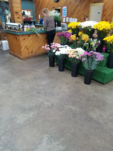 Florist «Hartstone Flower, Inc.», reviews and photos, 1275 Main St, South Weymouth, MA 02190, USA