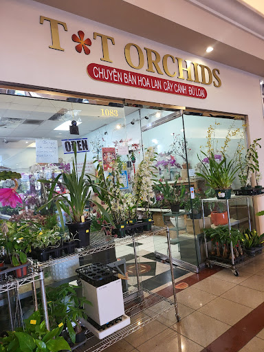 Shopping Mall «Grand Century Shopping Mall», reviews and photos, 1111 Story Rd, San Jose, CA 95122, USA