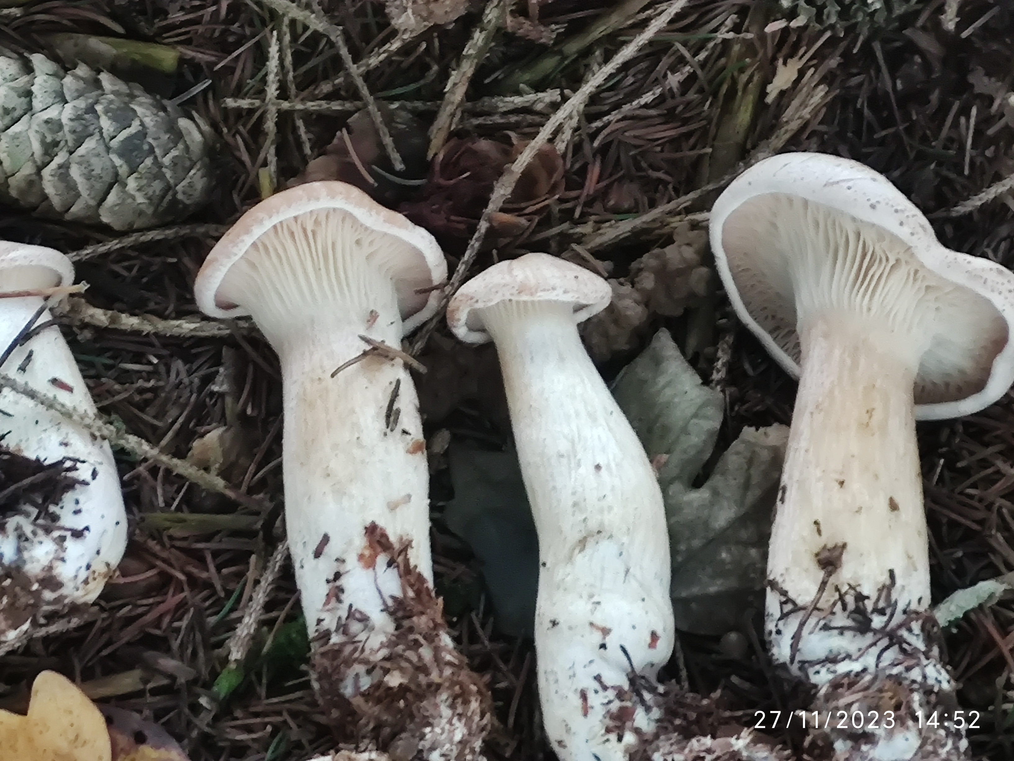 Photo n° 3 de l'avis de Patrick.i fait le 12/12/2023 à 10:07