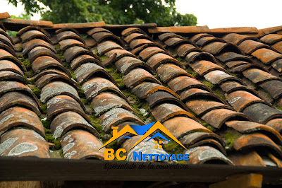 Couvreur 84 Pro BC Nettoyage toiture - Dépannage toiture 84 à Orange