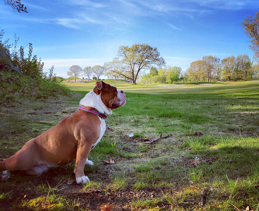 Golf Course «Meadow Golf Course-Peabody», reviews and photos, 80 Granite St, Peabody, MA 01960, USA