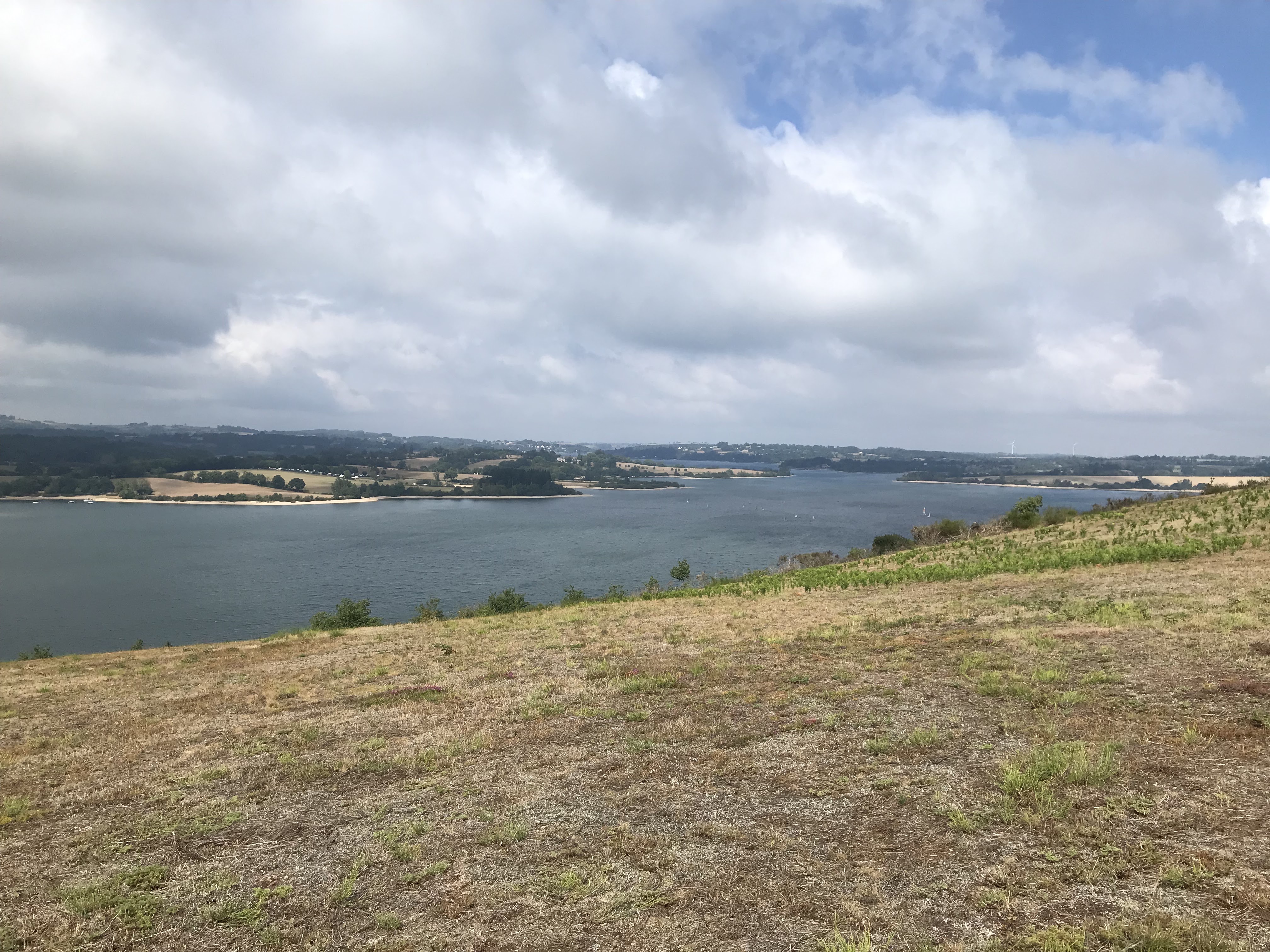Photo n° 6 de l'avis de Michel.e fait le 10/09/2022 à 14:29