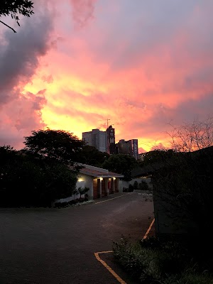 The Trails - photo 1