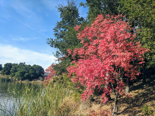 Park «Los Gatos Creek County Park», reviews and photos, 1250 Dell Ave, Campbell, CA 95008, USA