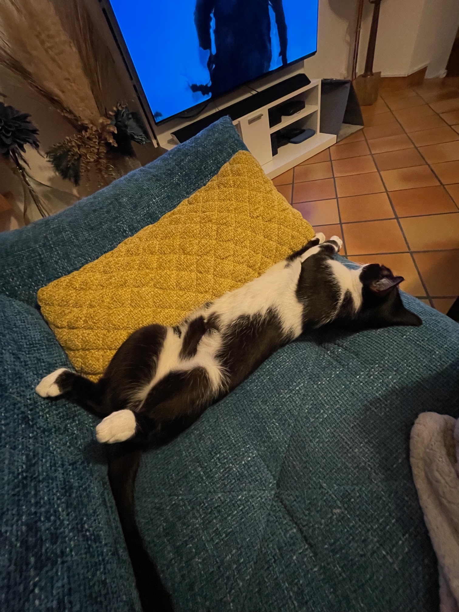 Photo n° 2 de l'avis de perrine.o fait le 28/10/2023 à 15:46