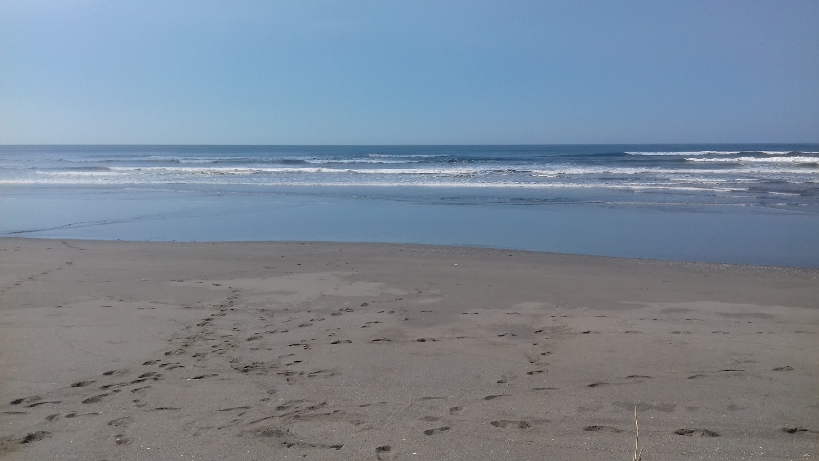 Foto di San Diego beach - luogo popolare tra gli intenditori del relax