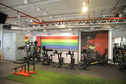 The Science Gym