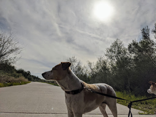Recreation Center «Rio Vista Recreation Center», reviews and photos, 8866 W Thunderbird Rd, Peoria, AZ 85381, USA