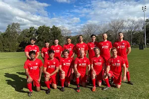 Marrickville Football Club The Red Devils image