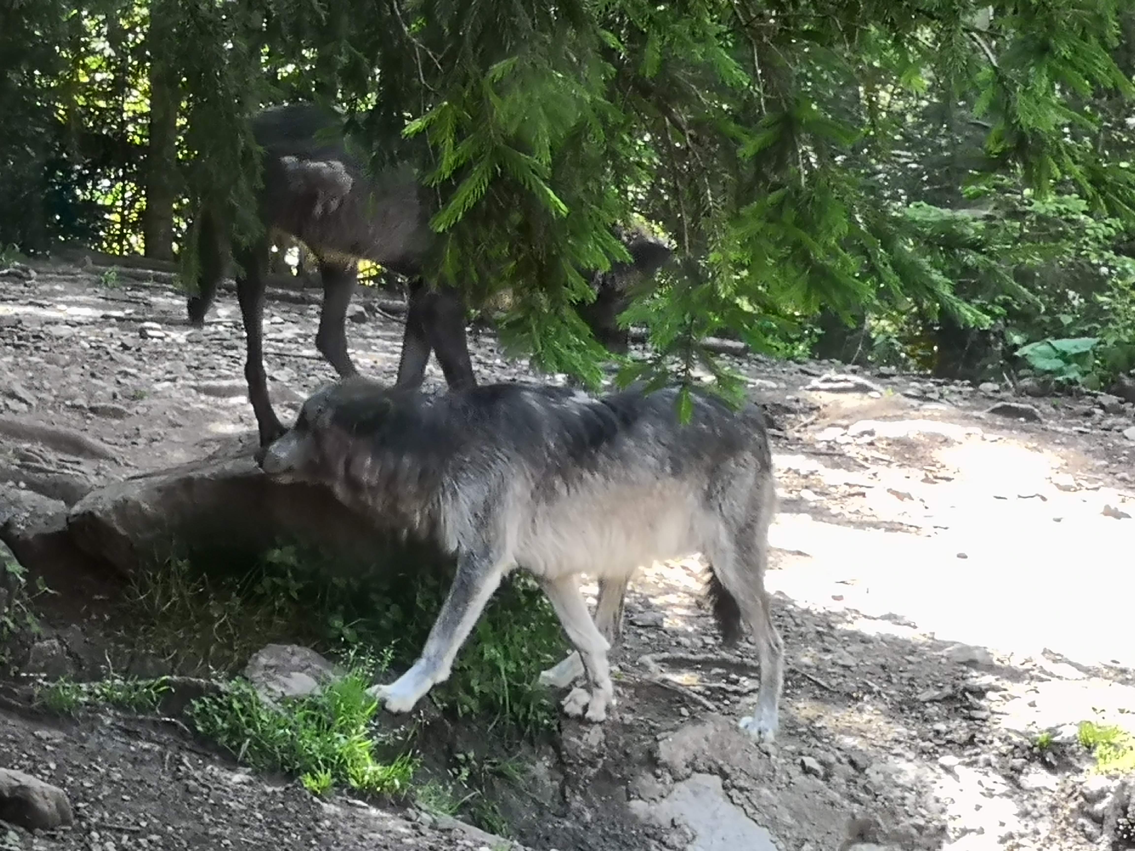 Photo n° 4 de l'avis de Cristelle.s fait le 30/06/2020 à 11:59