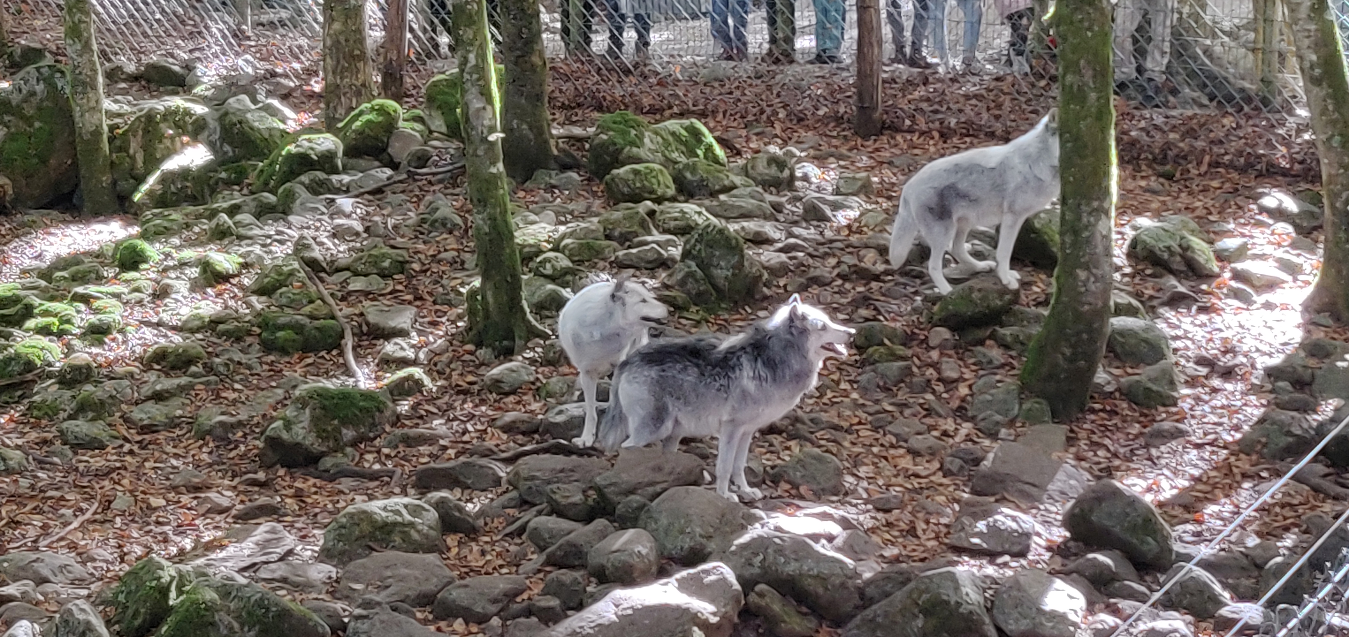 Photo n° 14 de l'avis de Arti.l fait le 29/10/2021 à 16:50