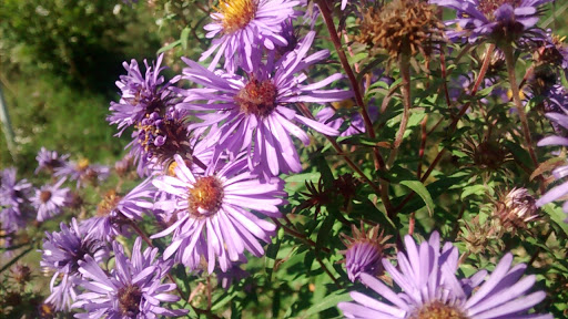 History Museum «Historic Fort Snelling», reviews and photos, 200 Tower Avenue, Saint Paul, MN 55111, USA