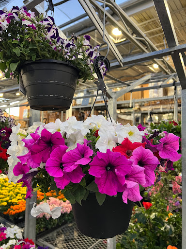 Home Improvement Store «The Home Depot», reviews and photos, 1781 E Bayshore Rd, East Palo Alto, CA 94303, USA