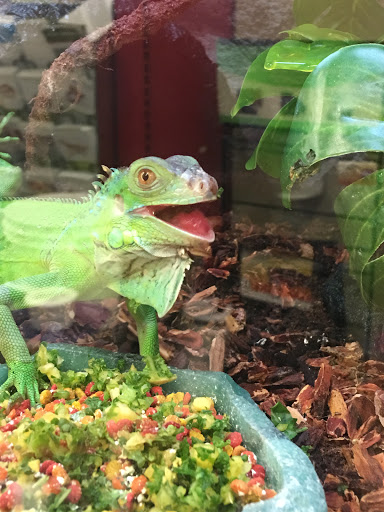 Pet Supply Store «Petco», reviews and photos, 590 E Waterfront Dr, Homestead, PA 15120, USA