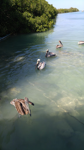 Aquarium «Florida Keys Aquarium Encounters», reviews and photos, 11710 Overseas Hwy, Marathon, FL 33050, USA