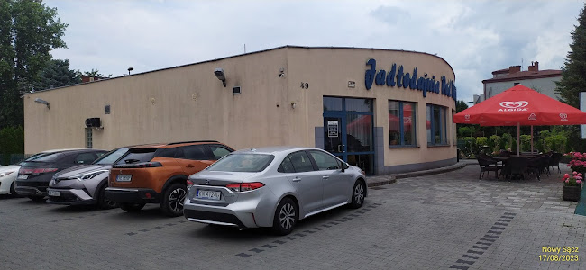 Numer telefony do Jadłodajnia Pod Wierzbą