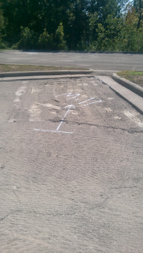 Insurance Agency «American Modern Insurance Group Inc», reviews and photos