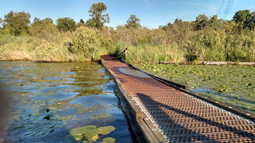 Botanical Garden «Washington Park Arboretum - UW Botanic Gardens», reviews and photos, 2300 Arboretum Dr E, Seattle, WA 98112, USA