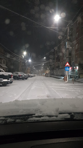 Primăria Cavnic - Arhitect