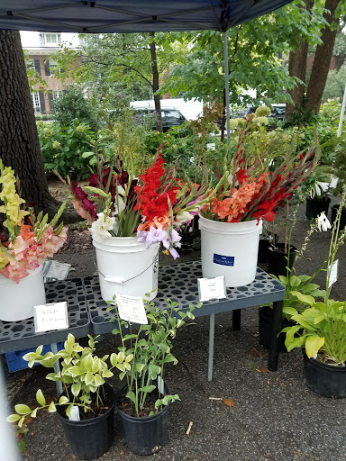 Produce Market «Douglass Loop Farmers Market», reviews and photos, 2005 Douglass Blvd, Louisville, KY 40205, USA