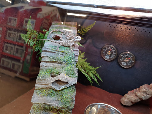 Pet Supply Store «PetSmart», reviews and photos, 2391 NJ-66, Ocean Township, NJ 07712, USA