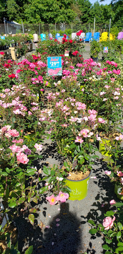 Pet Supply Store «Agway of Middlefield», reviews and photos, 147 Meriden Rd, Middlefield, CT 06455, USA