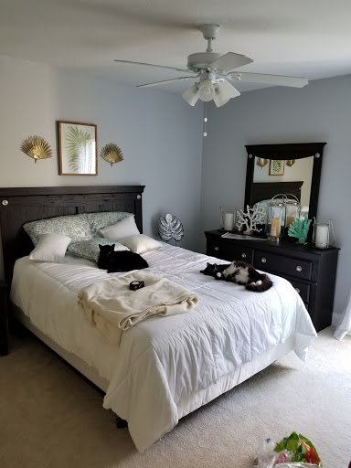 Mattress Store «Payless Furniture», reviews and photos, 4009 W Hillsborough Ave, Tampa, FL 33614, USA