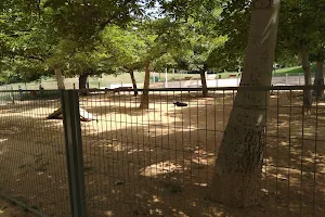 Dog park gan bir image