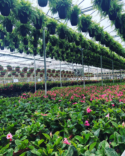 Garden Center «Gro-Rite Garden Center & Florist», reviews and photos, 30 Hillview Rd, Lincoln Park, NJ 07035, USA