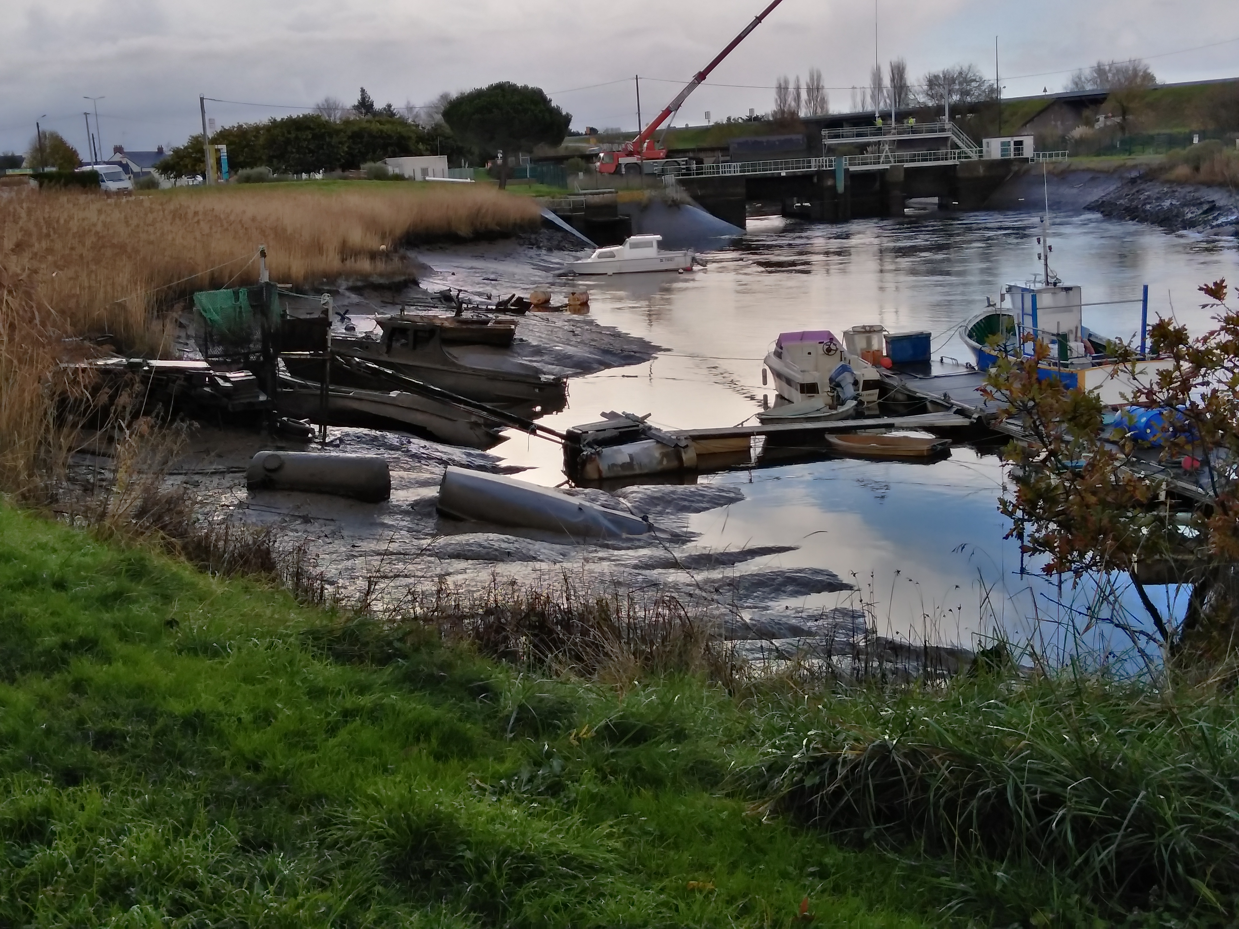 Photo n° 4 de l'avis de K... fait le 16/11/2019 à 10:37