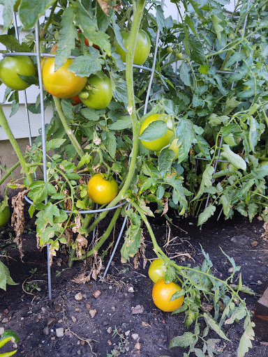 Home Improvement Store «The Home Depot», reviews and photos, 4447 US-14, Crystal Lake, IL 60014, USA