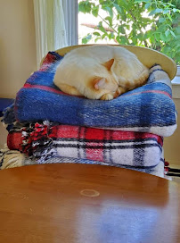 Niantic Yoga Studio - Photo 8 - Car repair in Niantic, CT, Norwich