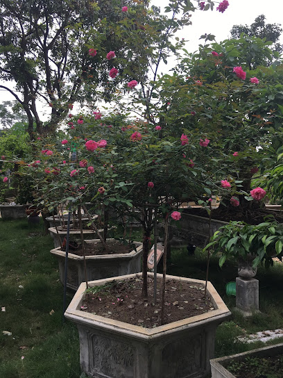 Nhà vườn hoa hồng Thanh Bình