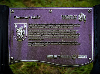 Drominagh Castle