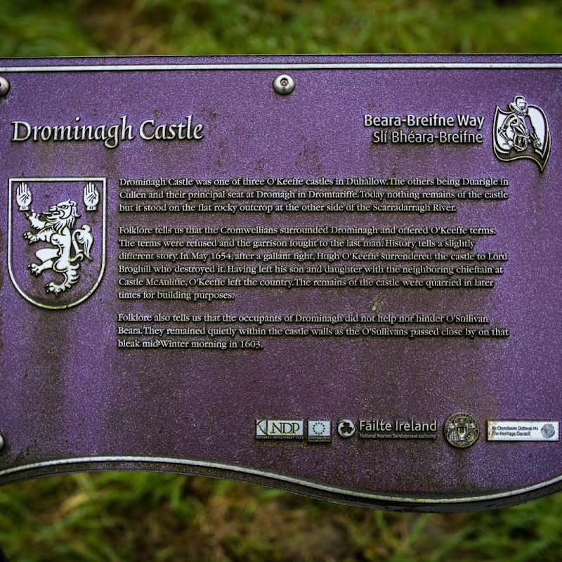 Drominagh Castle