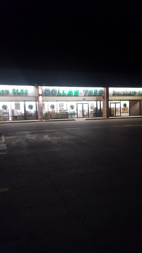 Dollar Store «Dollar Tree», reviews and photos, 2654 Belvidere Rd, Waukegan, IL 60085, USA