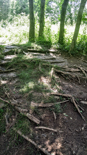 Golf Course «Seneca Golf Course», reviews and photos, 2300 Pee Wee Reese Rd, Louisville, KY 40205, USA