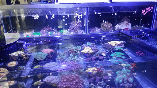 Tropical Fish Store «The Premium Aquarium», reviews and photos, 1875 25th St SE, Salem, OR 97302, USA