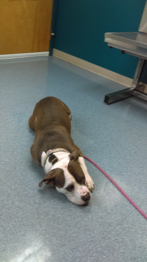 7135 Bernville Rd, Bernville, PA 19506, USA