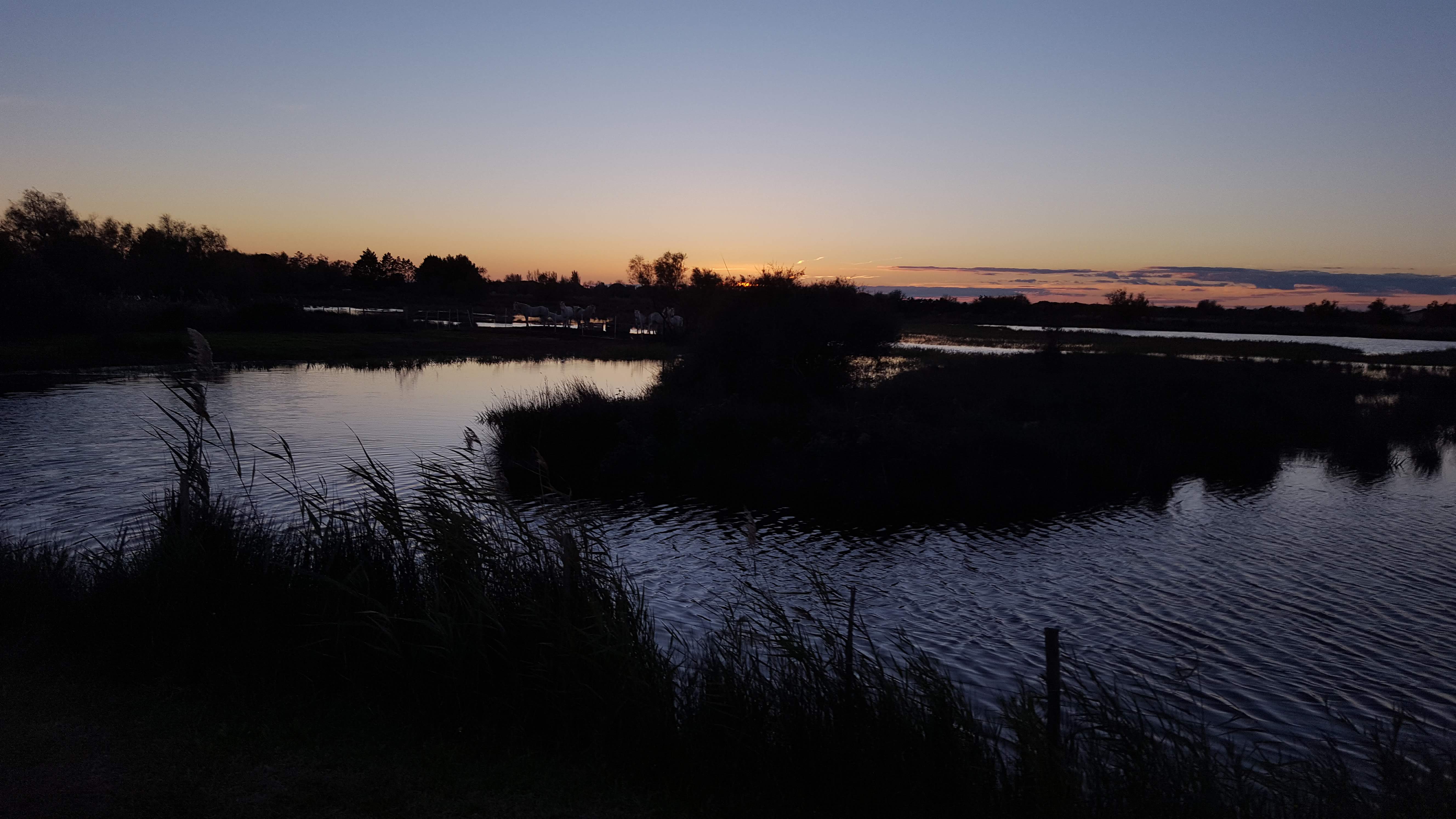 Photo n° 4 de l'avis de Nico.A fait le 10/11/2018 à 12:37