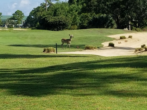Golf Course «Lost Key Golf Club», reviews and photos, 625 Lost Key Dr, Pensacola, FL 32507, USA
