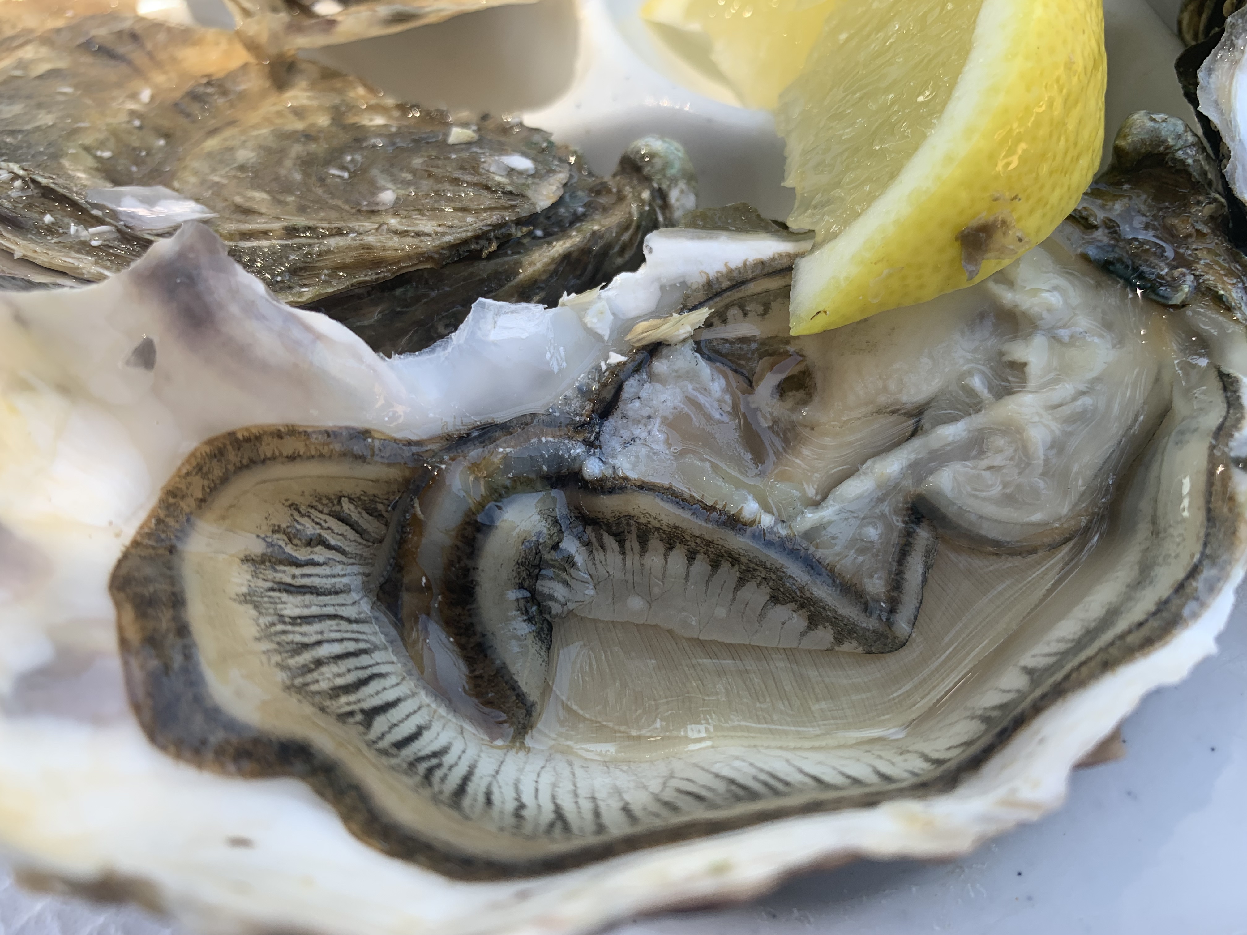 Photo n° 2 de l'avis de Frédérique.r fait le 25/06/2023 à 19:23