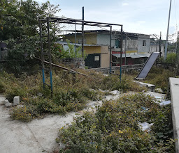 Parquesito Las Parotas photo