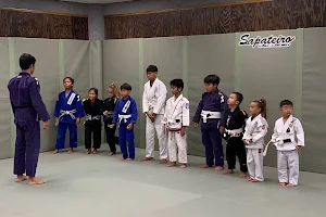 Sapateiro Jiu-Jitsu Academy image