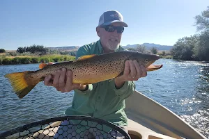 Greybull Valley Trout Guides image