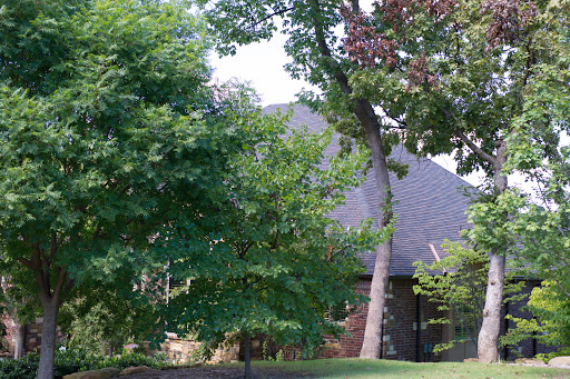 Construction Company «Above It All Roofing & Construction», reviews and photos