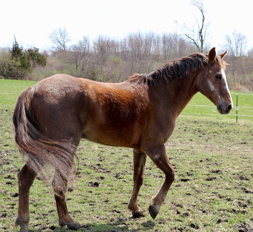 1000 Essington Rd, Joliet, IL 60435, USA