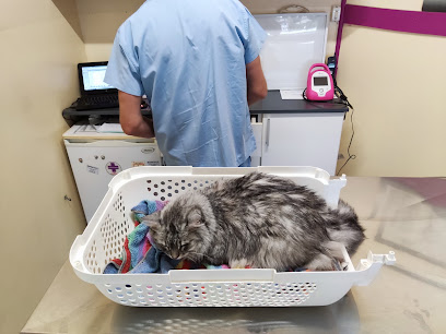 Veterinaria AMeVet en Bariloche