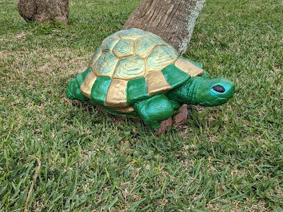 Turtle Park